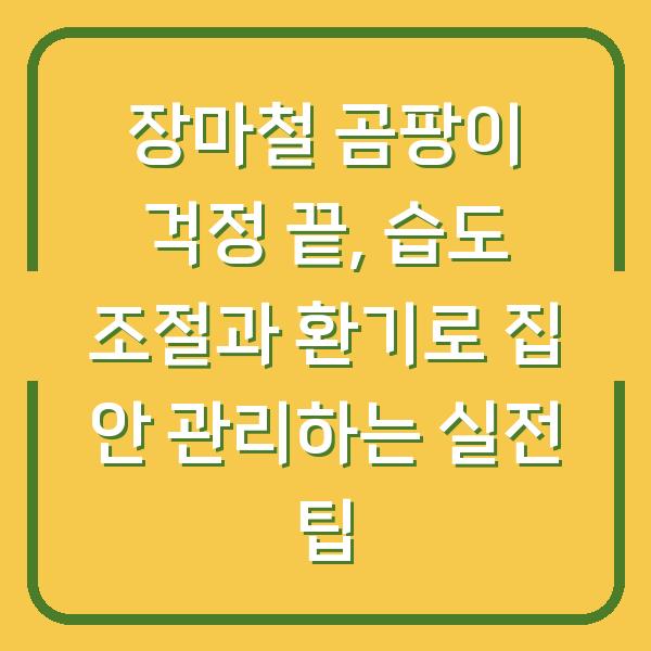 장마철 곰팡이 걱정 끝, 습도 조절과 환기로 집 안 관리하는 실전 팁