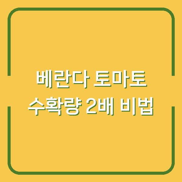 베란다 토마토 수확량 2배로 늘리는 인공수정 & 꽃 수분 타이밍