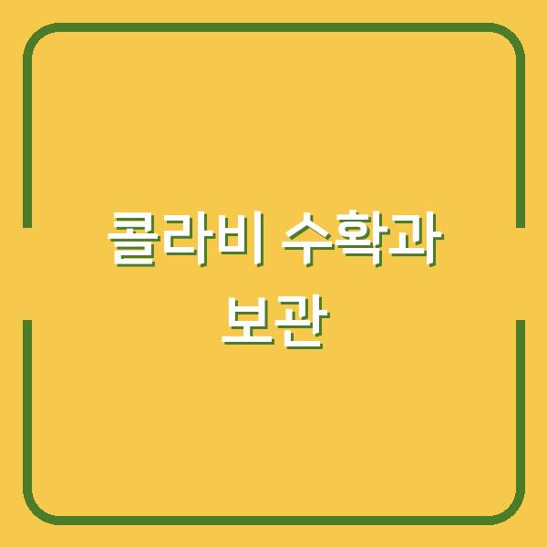 콜라비 수확시기와 신선하게 먹는 법, 오래 보관하는 꿀팁까지