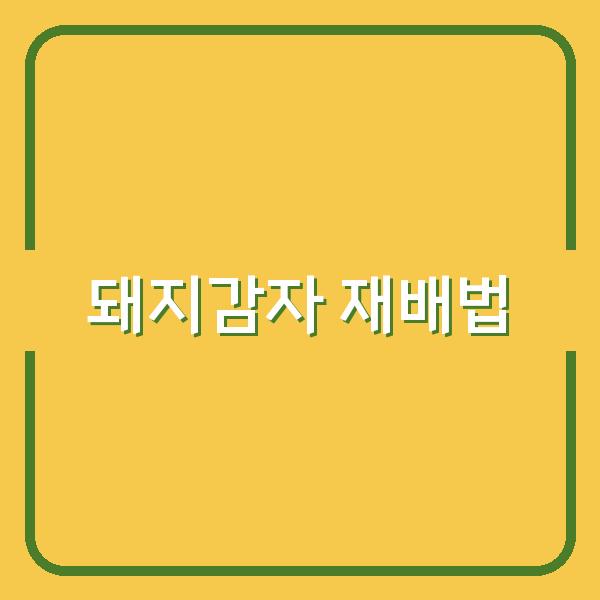 돼지감자 수확시기부터 재배법, 효능까지… 실전 활용법으로 수익 극대화하는 법