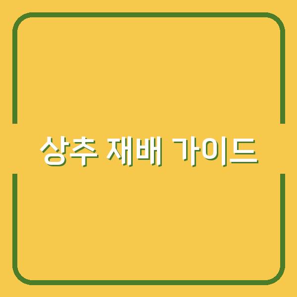 상추 모종 심기부터 수확까지, 실패하지 않는 재배 시기와 방법 공개