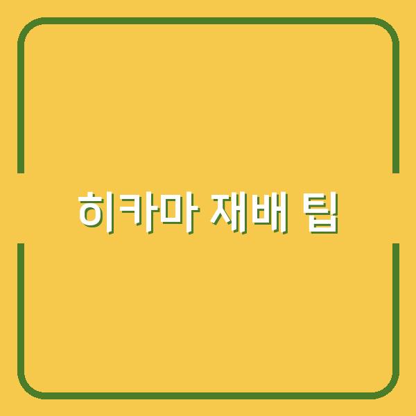 히카마 재배의 모든 것 최적의 심는 시기와 수확 후 보관 팁