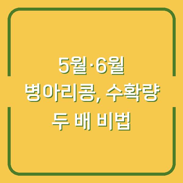 5월·6월 심는 병아리콩, 수확량 두 배로 늘리는 재배 비법