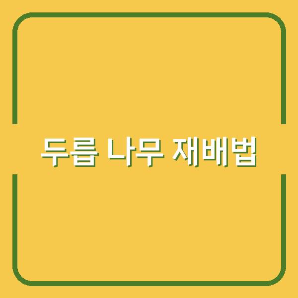 두릅 나무 언제 심고 어떻게 키울까? 재배부터 관리까지 실전 노하우 공개