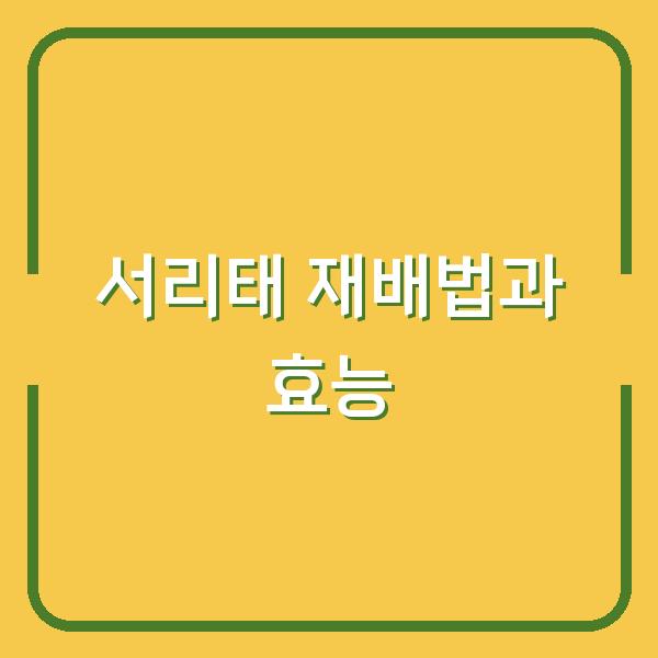 서리태 심는 시기 놓쳤다면? 중부지방 재배법과 효능으로 수확량 올리는 법