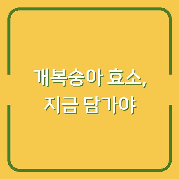 개복숭아 수확시기 놓치면 효소 효능 반토막, 지금 담가야 하는 이유