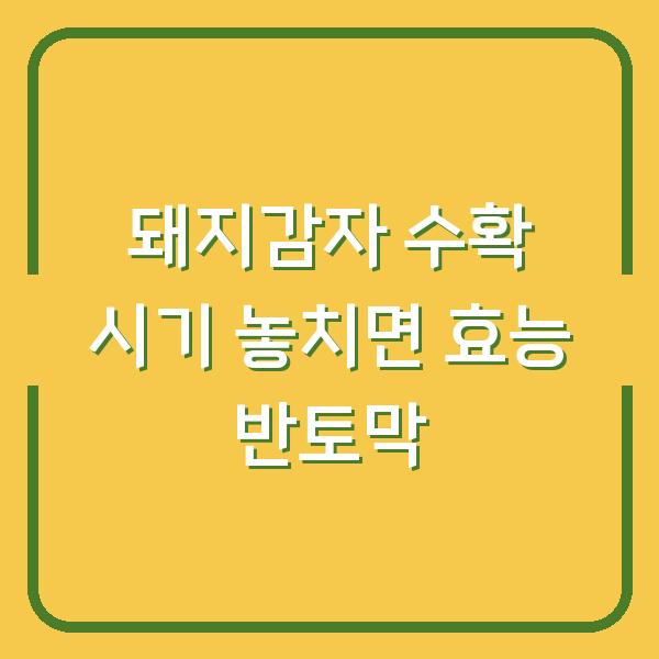 돼지감자, 수확 시기 놓치면 효능 반토막나는 결정적 이유