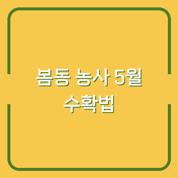 봄동 농사, 이렇게 하면 5월까지 수확한다 (심는 시기·파종·요리법)