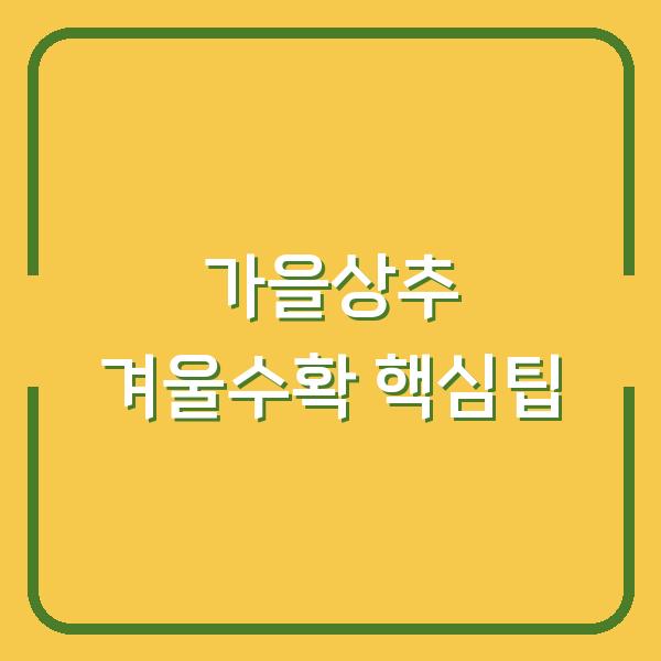 가을상추, 지금 심어야 겨울까지 수확합니다 (파종·모종·비료·물주기 핵심 팁)