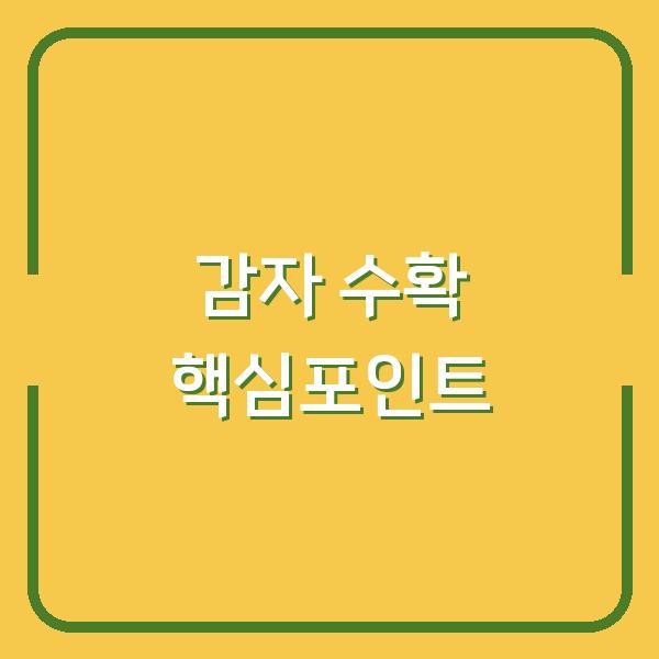 2026년 가을, 감자 수확을 좌우하는 최적 심기 시기와 재배법 핵심 포인트