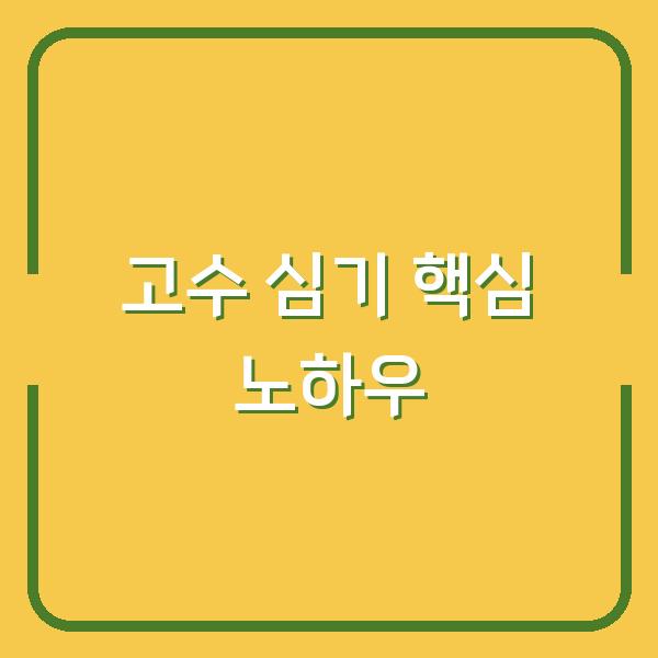 고수 심는 시기와 재배법, 수확 때까지 망치지 않는 핵심 노하우