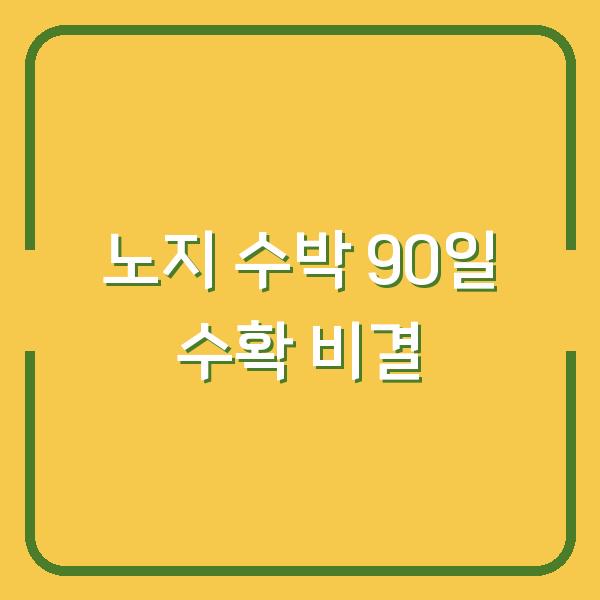 노지 수박 심는시기, 모종 심고 90일 만에 첫 수확한 비결