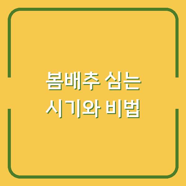 봄배추 심는 시기 놓치면 수확 망친다? 가을배추와 다른 물주기·거름주기 비법