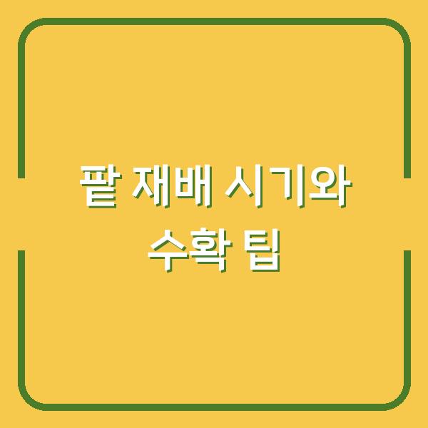 팥 심는 시기부터 수확까지, 초보 농부가 놓치기 쉬운 3가지