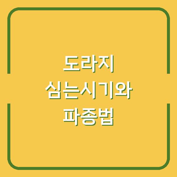 도라지 심는시기와 파종 방법, 이렇게 하면 수확량이 두 배로 늘어납니다
