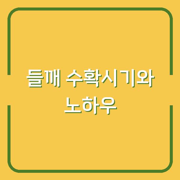 들깨 수확시기 놓치면 수확량 반토막… 베는 방법부터 말리기·터는 노하우까지