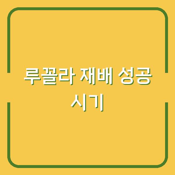 루꼴라 심는 시기만 알면? 초보자도 실패 없는 재배 방법