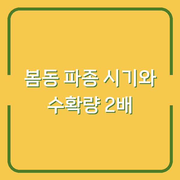 봄동 재배, 2026년 수확량 2배로 늘리는 파종 시기와 방법