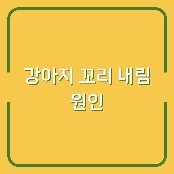 강아지 꼬리 내림, 스트레스인가 복종인가? 행동 교정 전에 알아야 할 3가지