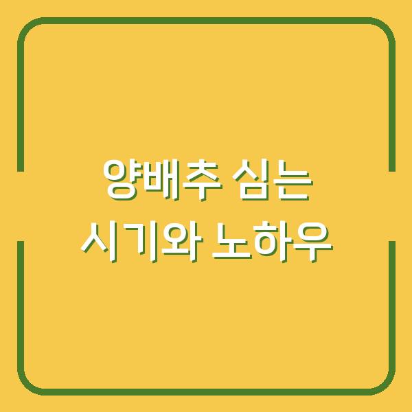 양배추 심는 시기, 3년차 주말 농부가 알려주는 텃밭 성공 노하우