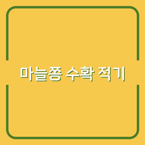 마늘쫑 수확 시기 놓치면 질겨집니다, 지금이 맛있는 순간입니다