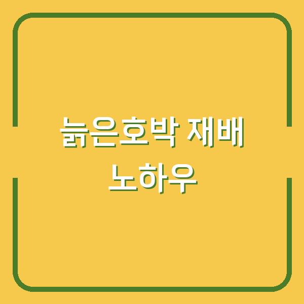 늙은호박 심는 시기부터 수확 후 보관까지, 농부가 알려주는 실전 재배 노하우