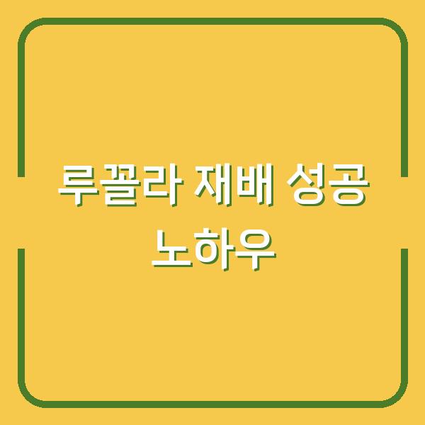 루꼴라 심는 시기와 재배 방법, 초보자도 실패 없는 노하우