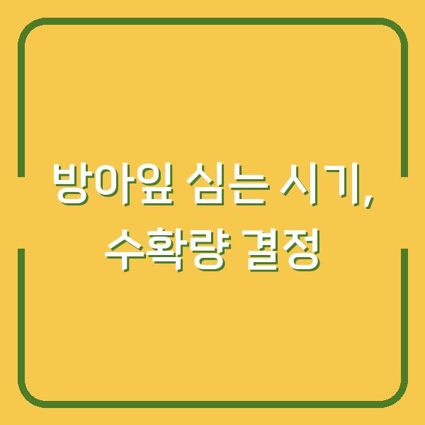 방아잎 심는 시기, 3일 차이로 수확량이 달라지는 이유