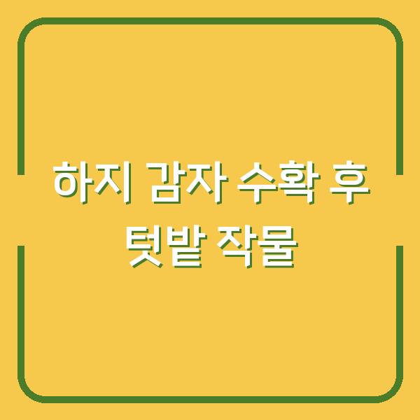 2026년 하지 감자 수확 후, 텃밭에 심으면 수익 두 배