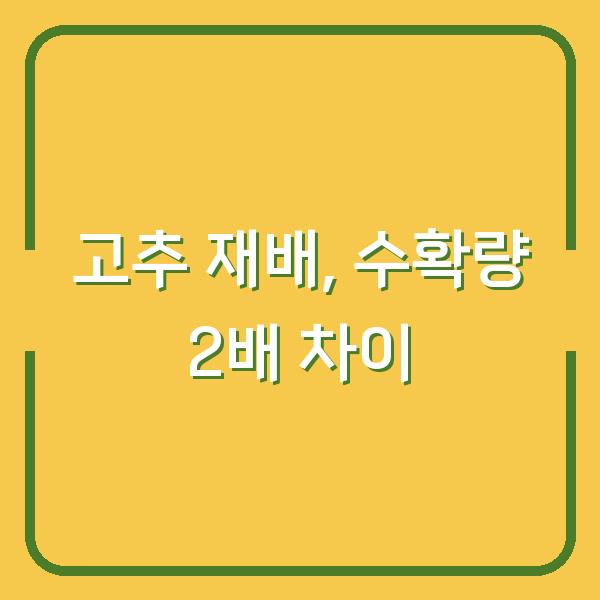 2026년 고추 재배, 지금 심으면 수확량이 2배 차이 나는 이유