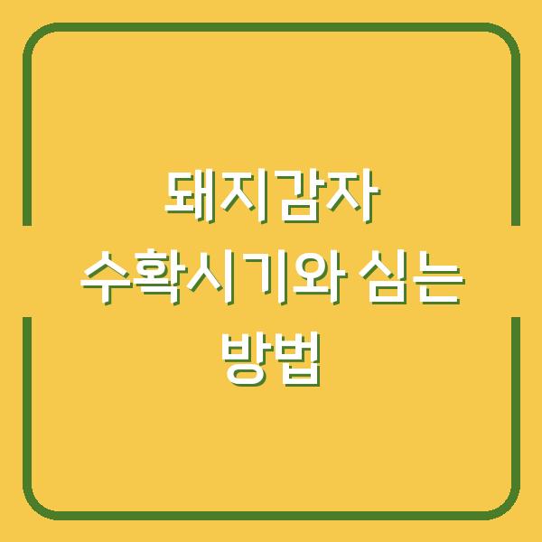 돼지감자 수확시기, 심는 시기와 방법 한 번에 정리 (백색·자색 뚱딴지 차이까지)
