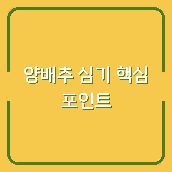 양배추 심는 시기와 모종 심기 초보가 놓치면 실패하는 3가지 포인트