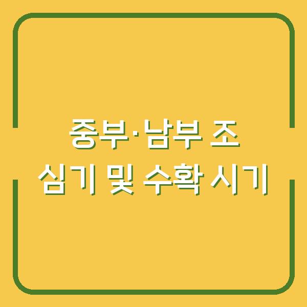 중부·남부지방 조 심는 시기와 수확 시기 실제 농가에서 실천하는 관리 방법