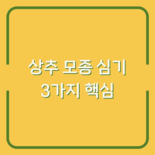 상추 모종 심기 3가지만 알면 실패 없이 키울 수 있습니다