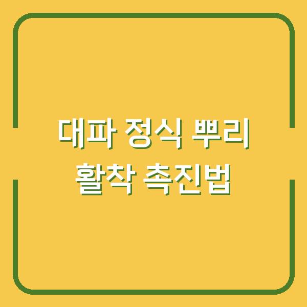 대파 정식 시기와 아주심기 이렇게 하면 뿌리 활착이 2배 빨라집니다