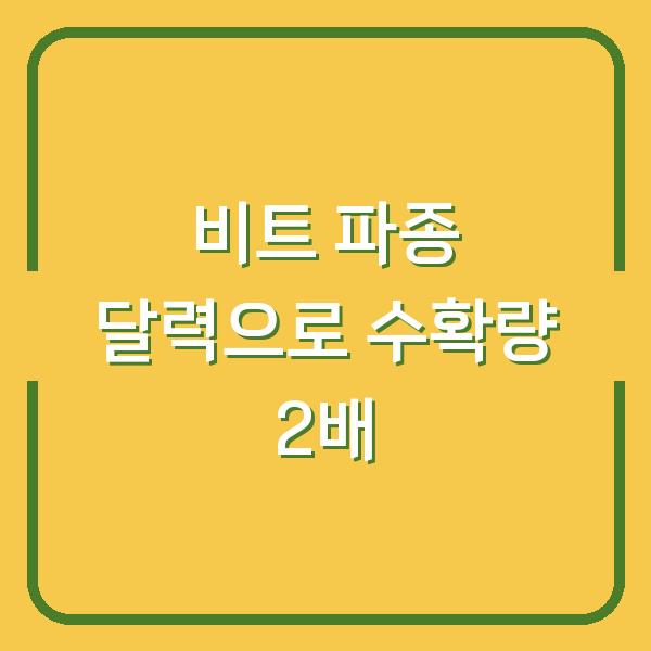 비트 씨앗·모종 심는 시기 수확량 2배로 늘리는 파종 달력