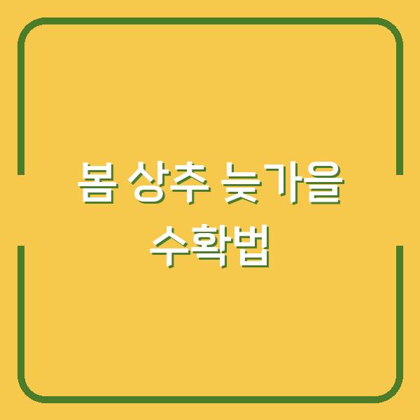 2026년 봄 상추 지금 심어야 늦가을까지 수확합니다 (파종 시기 & 방법)