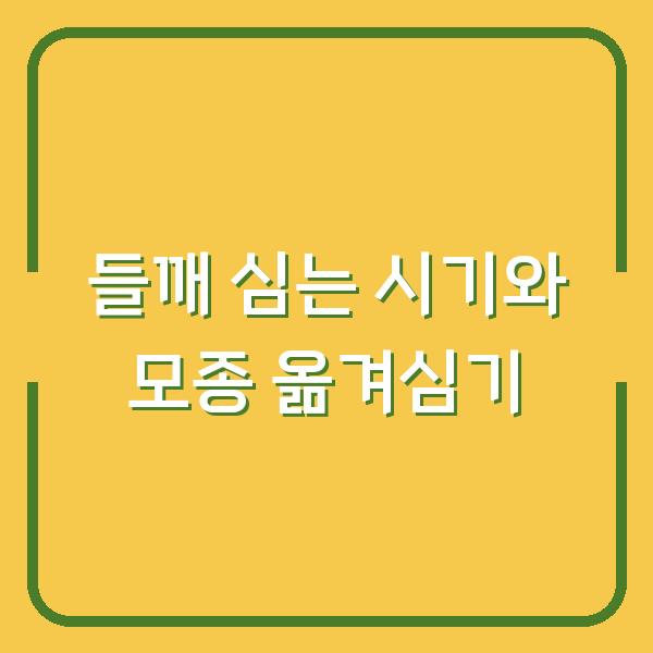 들깨 심는 시기, 모종 옮겨심기 한 번에 해결하는 방법