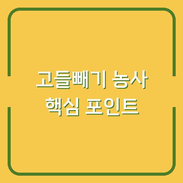 고들빼기 농사 심는 시기와 파종 방법만 알면 수확량 2배 차이 납니다
