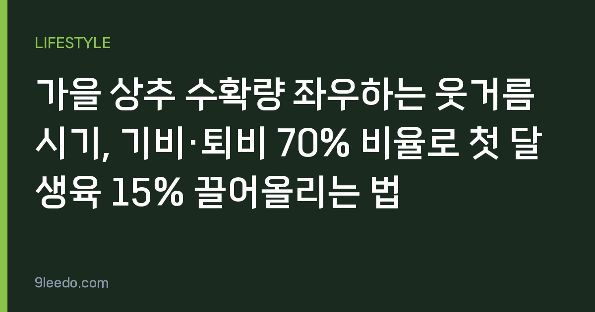 가을 상추 수확량 좌우하는 웃거름 시기, 기비·퇴비 70% 비율로 첫 달 생육 15% 끌어올리는 법